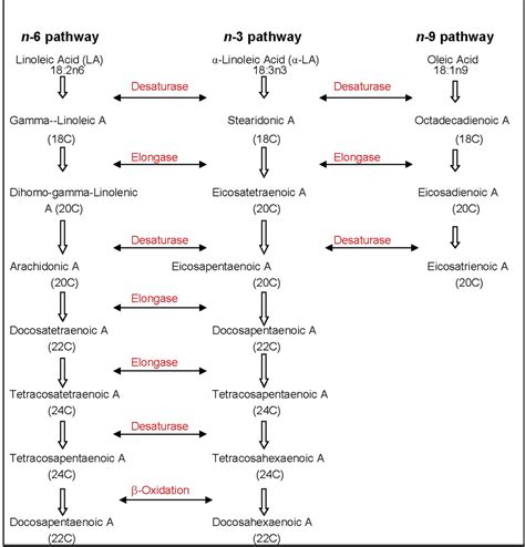 Composition and Functionality of Lipid Emulsions in Parenteral .